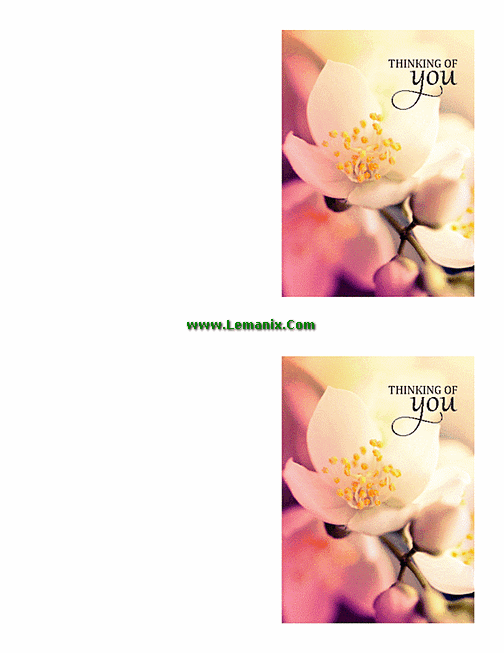Thinking Of You Cards Microsoft Publisher Templates